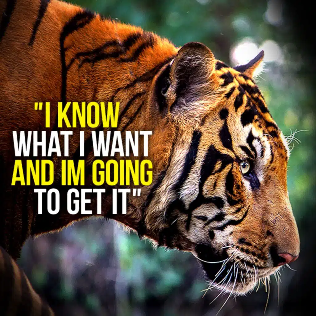 YOU CAN DO IT - New Motivational Speech Compilation