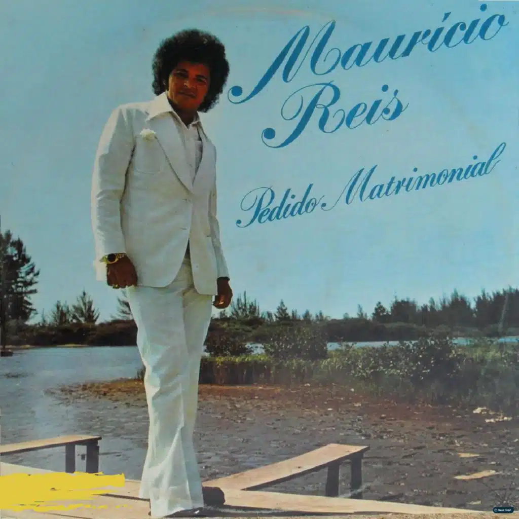 Garçonete Toque o Disco do Waldick