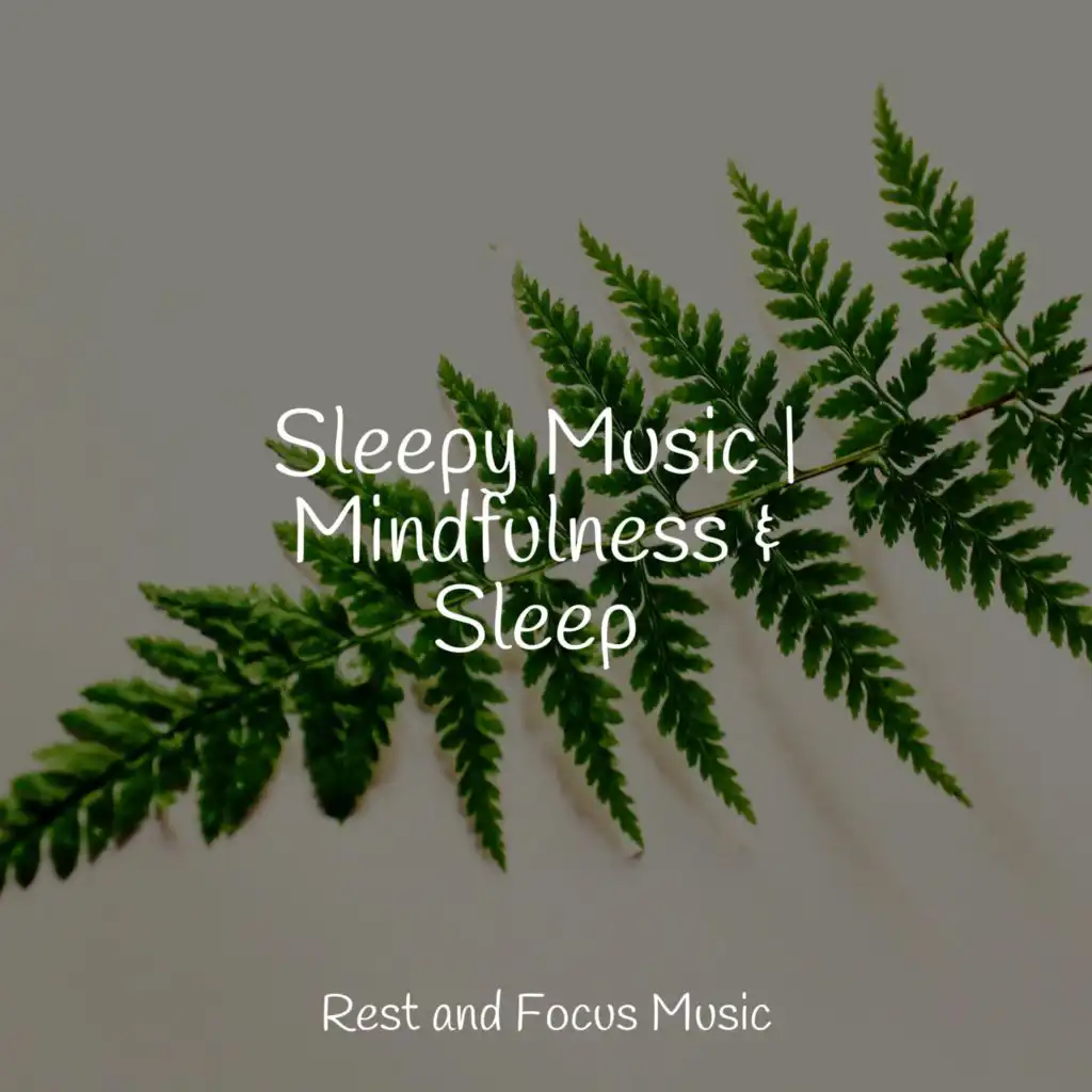 Sleepy Music | Mindfulness & Sleep