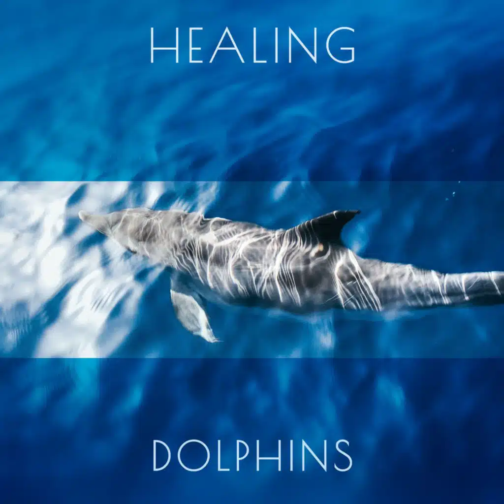 Noble Music Relaxing