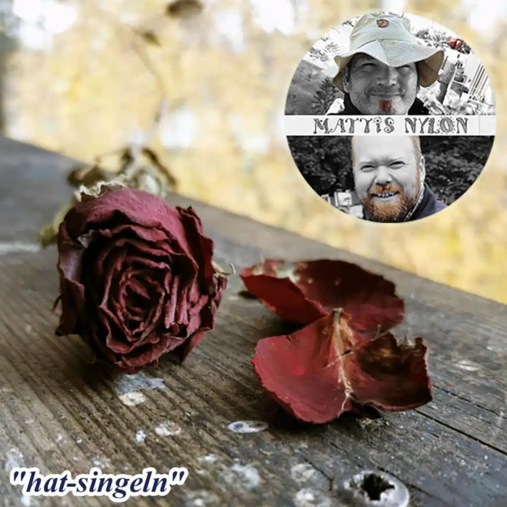 hat-singeln