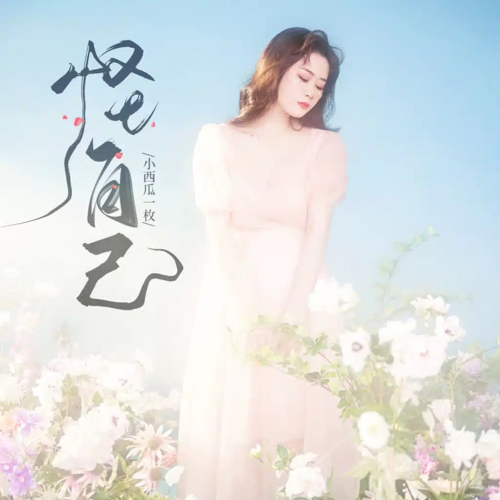 怪自己 (DJ花哨版)