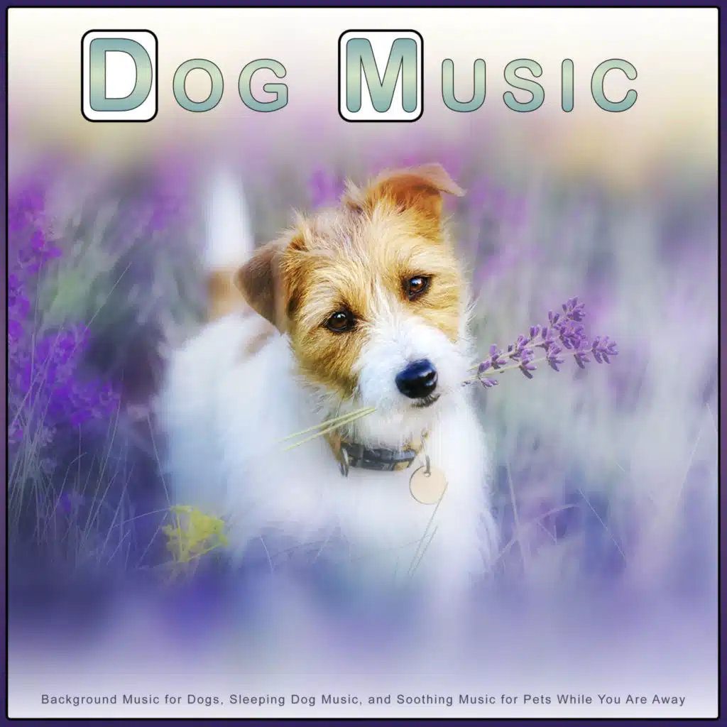 Music For Dogs, Dog Music Therapy & Dog Music