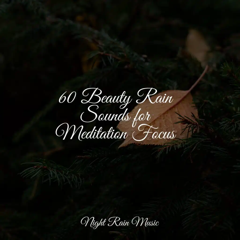 River, Forest, Bird Calls