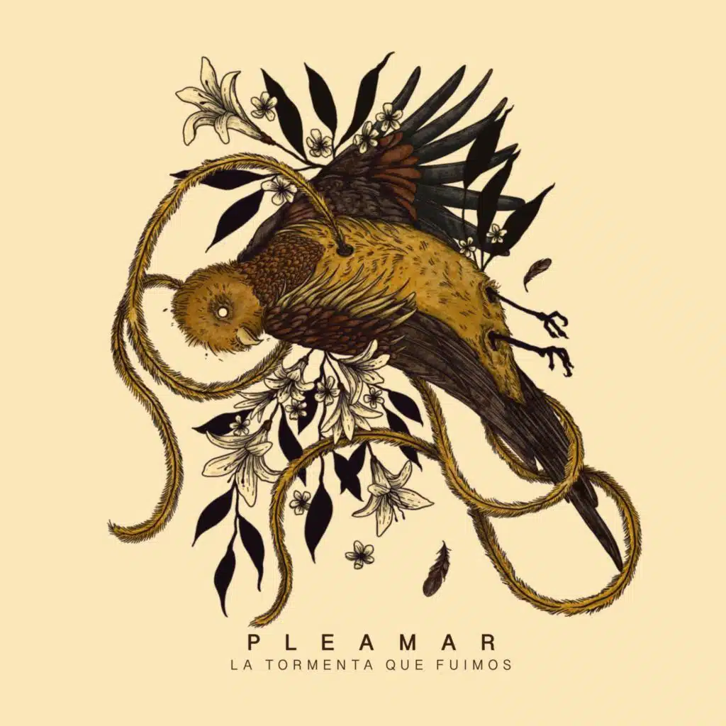 Pleamar