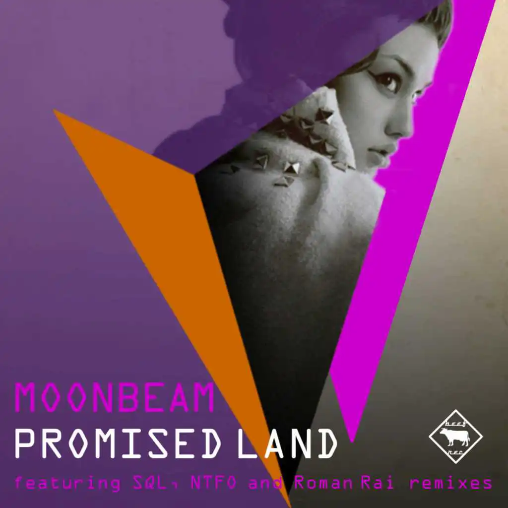 Promised Land (feat. Roman Rai)