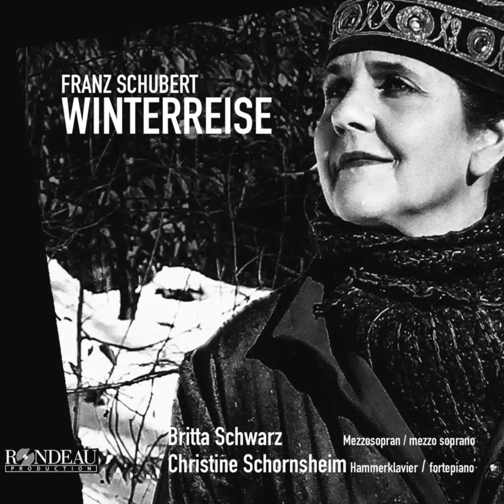 Winterreise, Op. 89 D 911: No. 3 Gefrorne Thränen