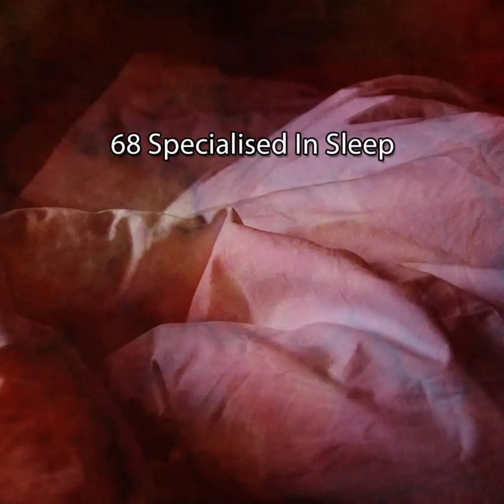 68 Specialised In Sleep