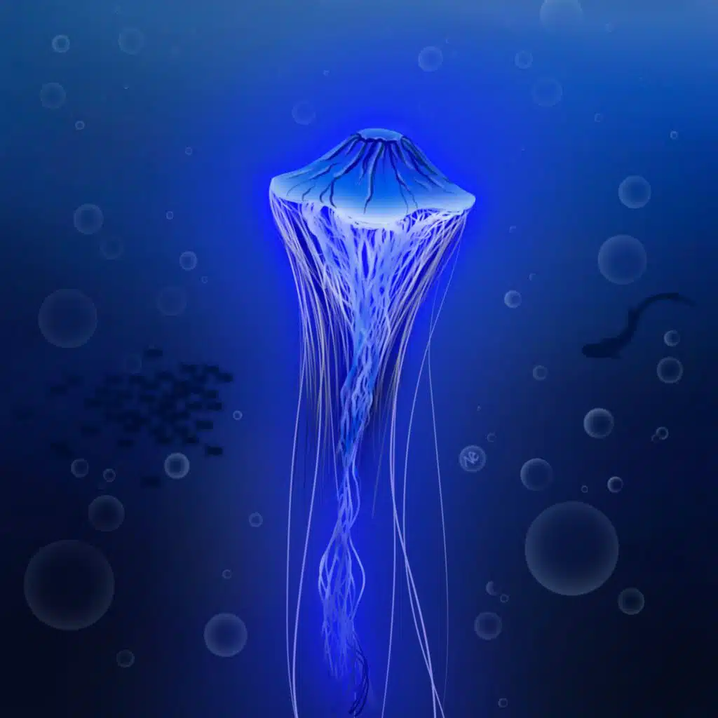 Summer Vibes, Vol. 4