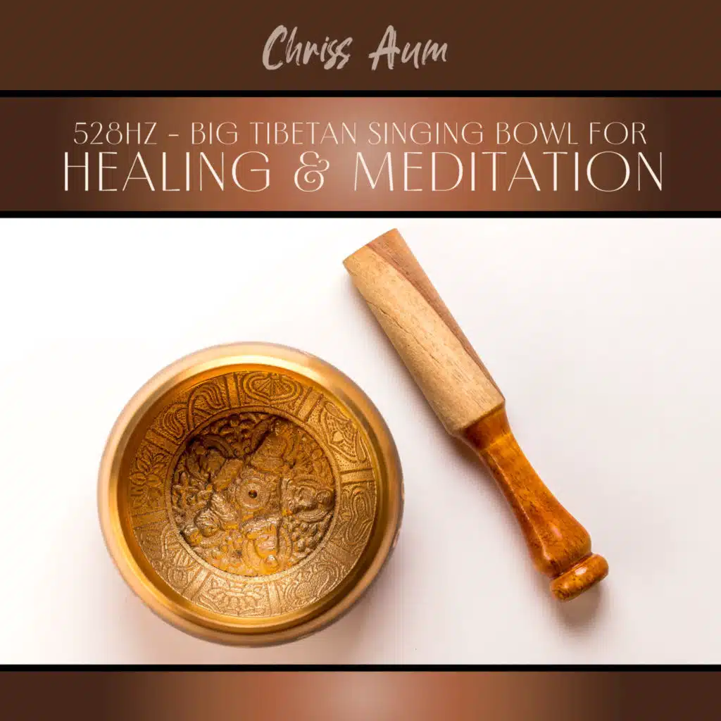 Therapeutic Gong (feat. Anabele Sacralic)