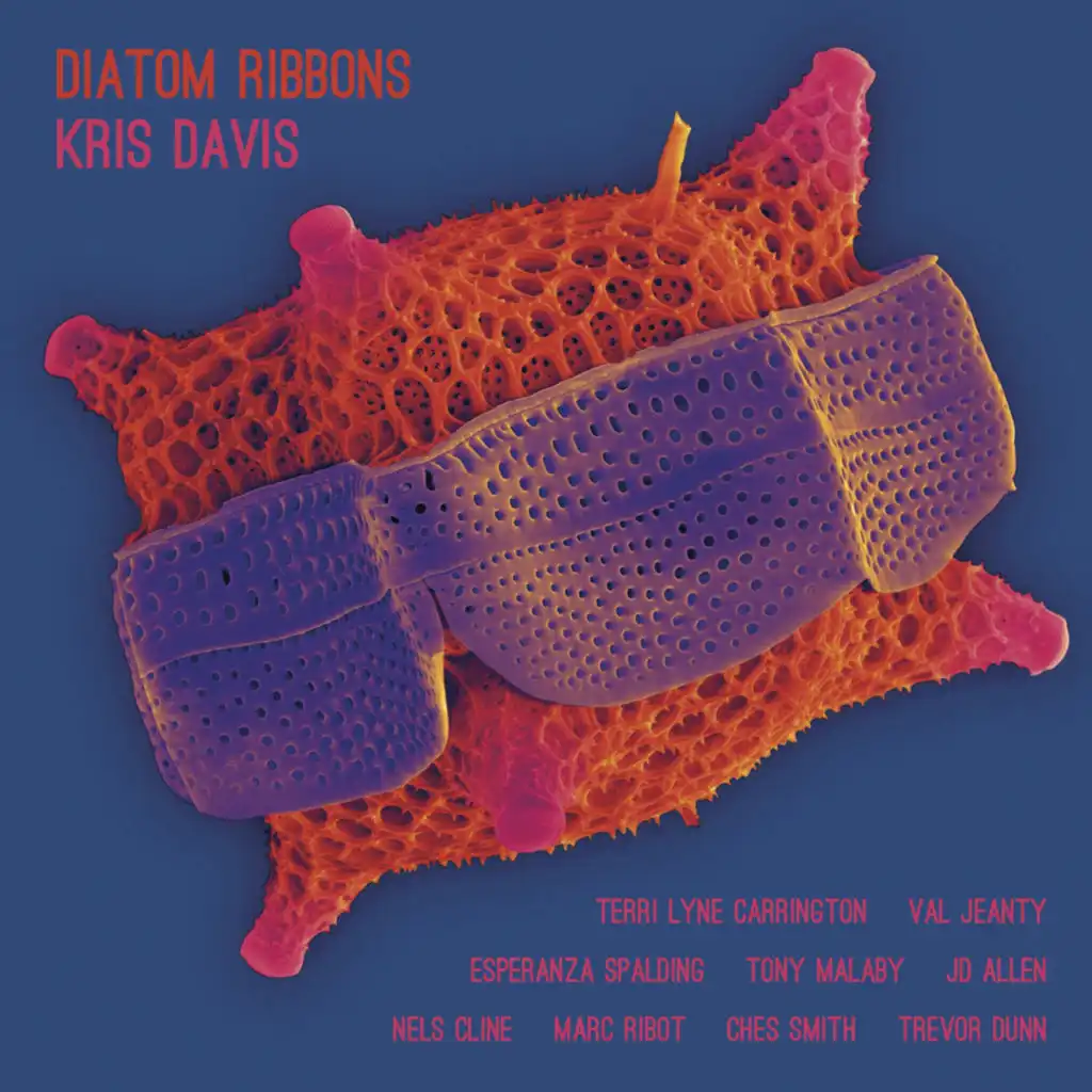 Diatom Ribbons (feat. JD Allen & Tony Malaby)