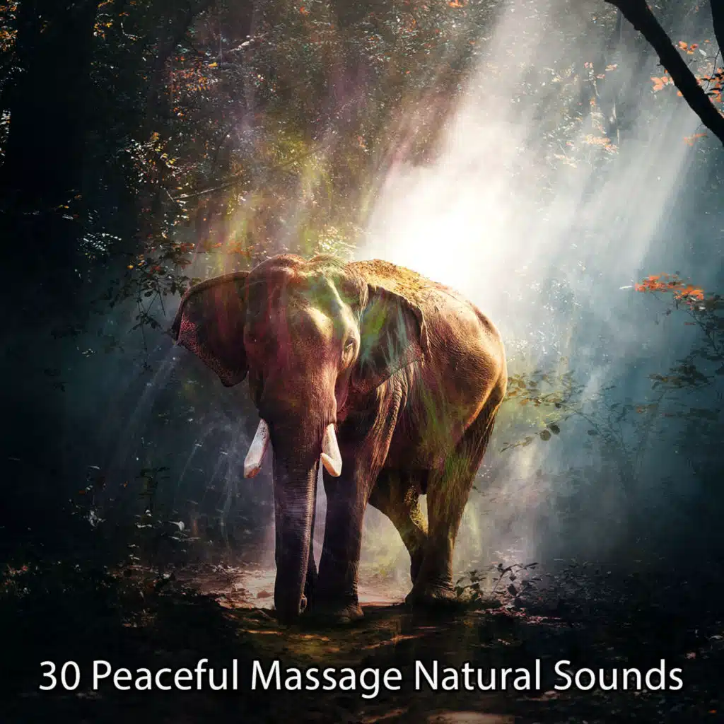 30 Peaceful Massage Natural Sounds