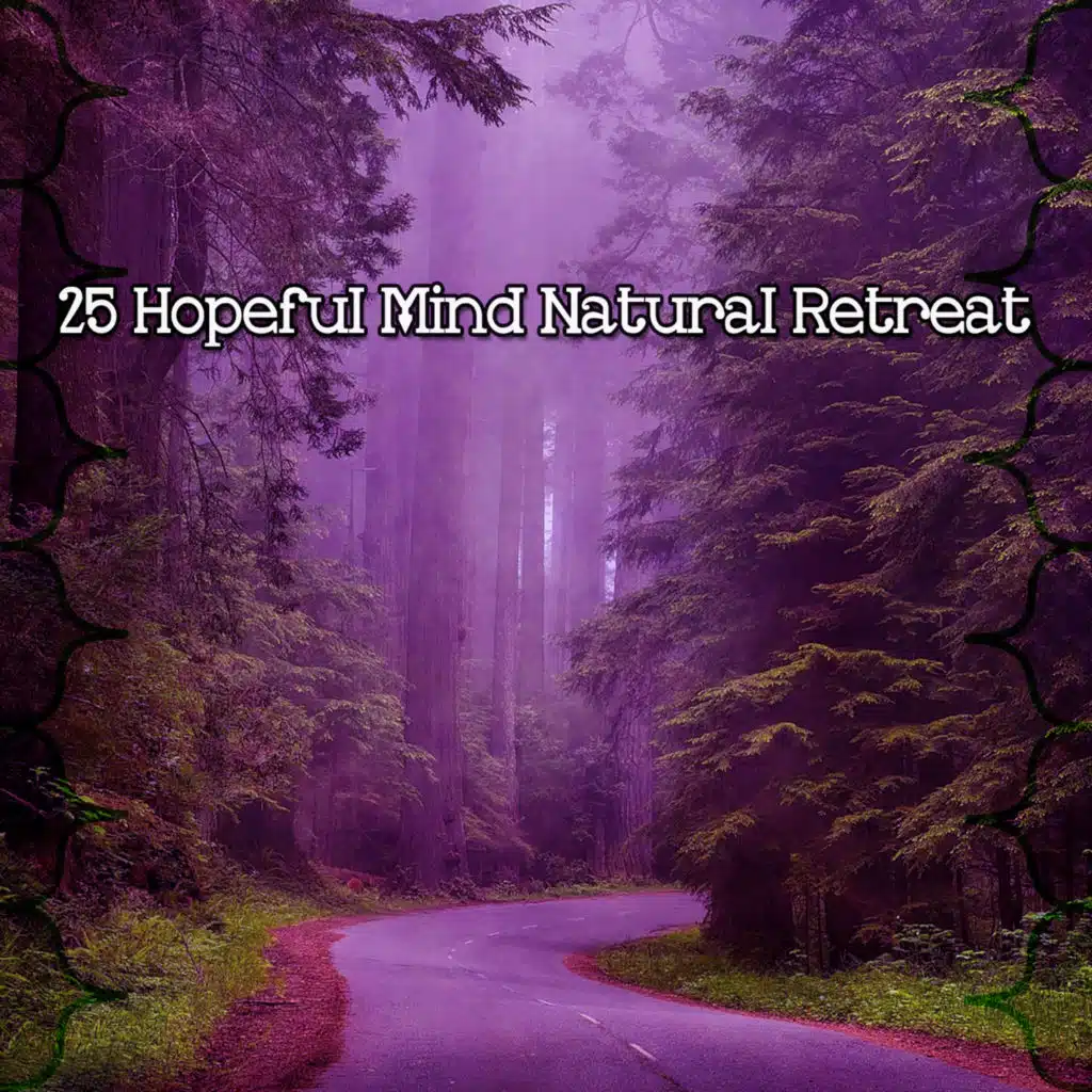 Nature Sounds for Sleep and Relaxation