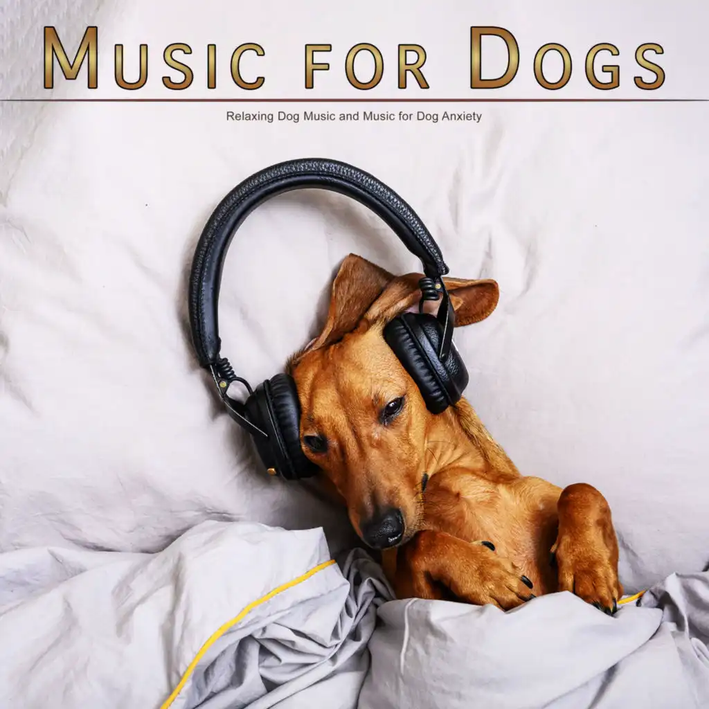 Music for Dogs: Relaxing Dog Music and Music for Dog Anxiety
