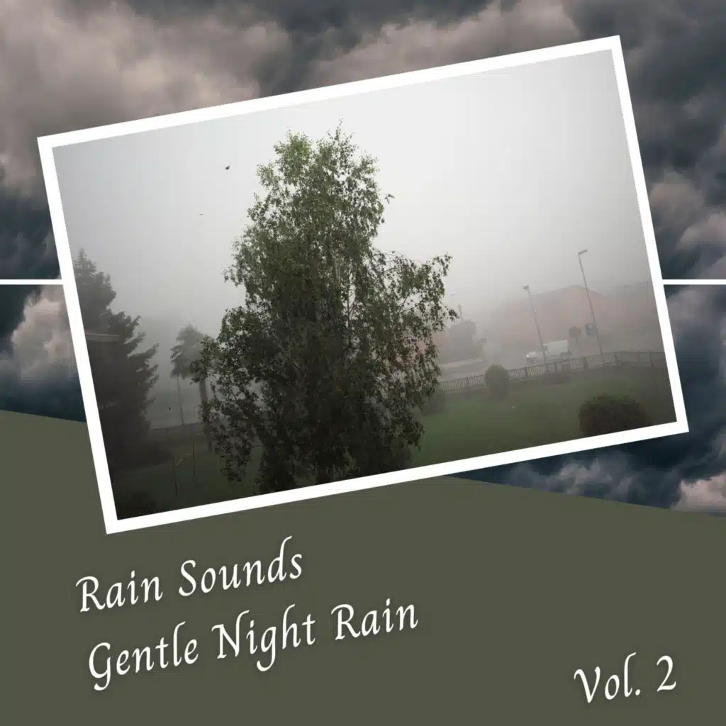 Rain Sounds Gentle Night Rain Vol. 2 - 2 Hours