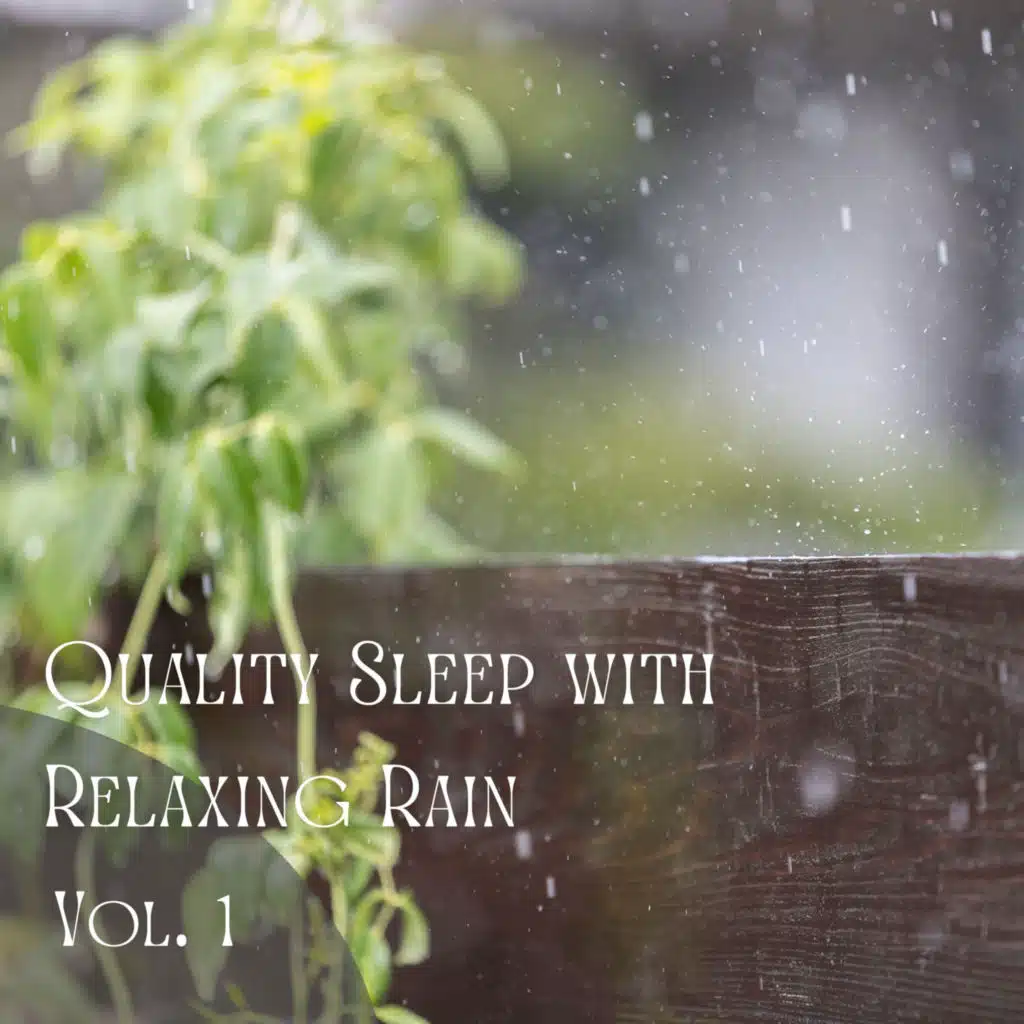 Quality Sleep with Relaxing Rain Vol. 1 - 1 Hour