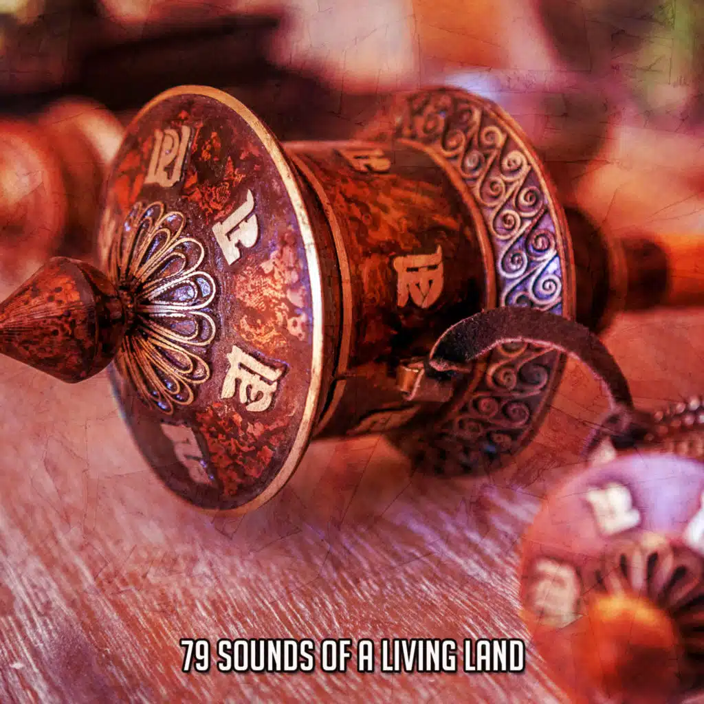 Natural White Noise - Music for Meditation, Relaxation, Sleep, Massage, Spa