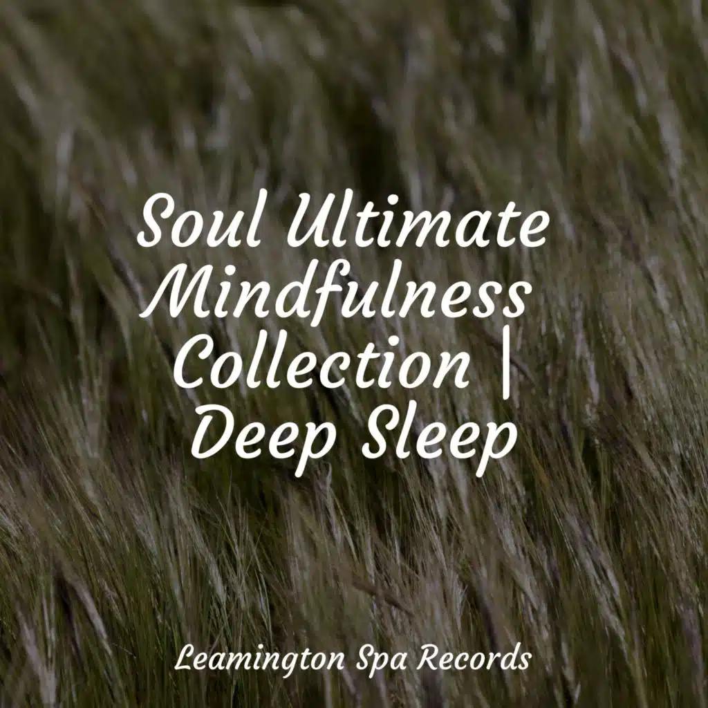 Natural Sample Makers & Restless Baby Music