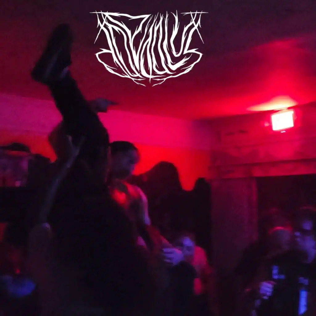 To Whom It May Concern: Bootlegged Letters from The Crossroads