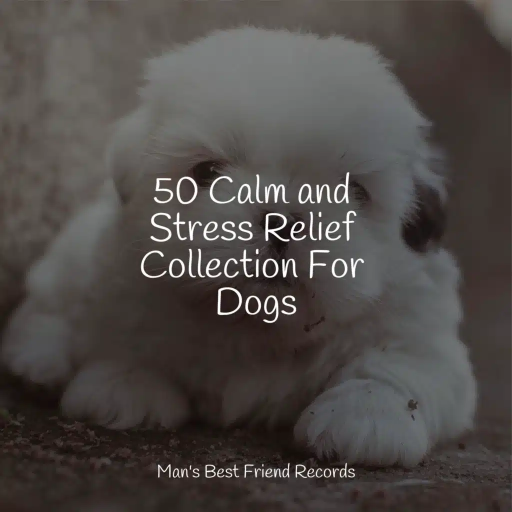 Music for Stress Relief