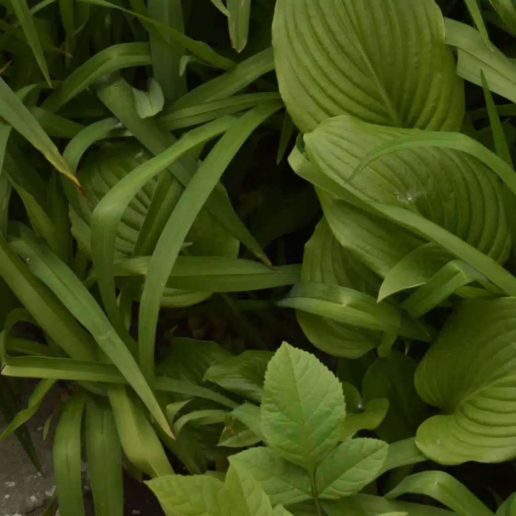 음악에 대한 섹스, 잠자는 음악, 휴식과 명상을위한 음악 & 휴식을위한 자연 소리