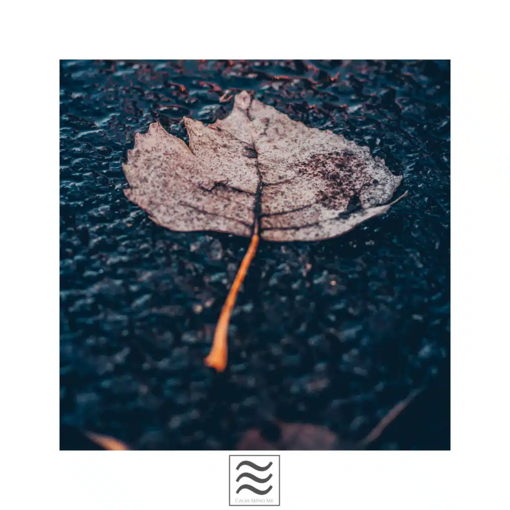 なだめるような雨の音