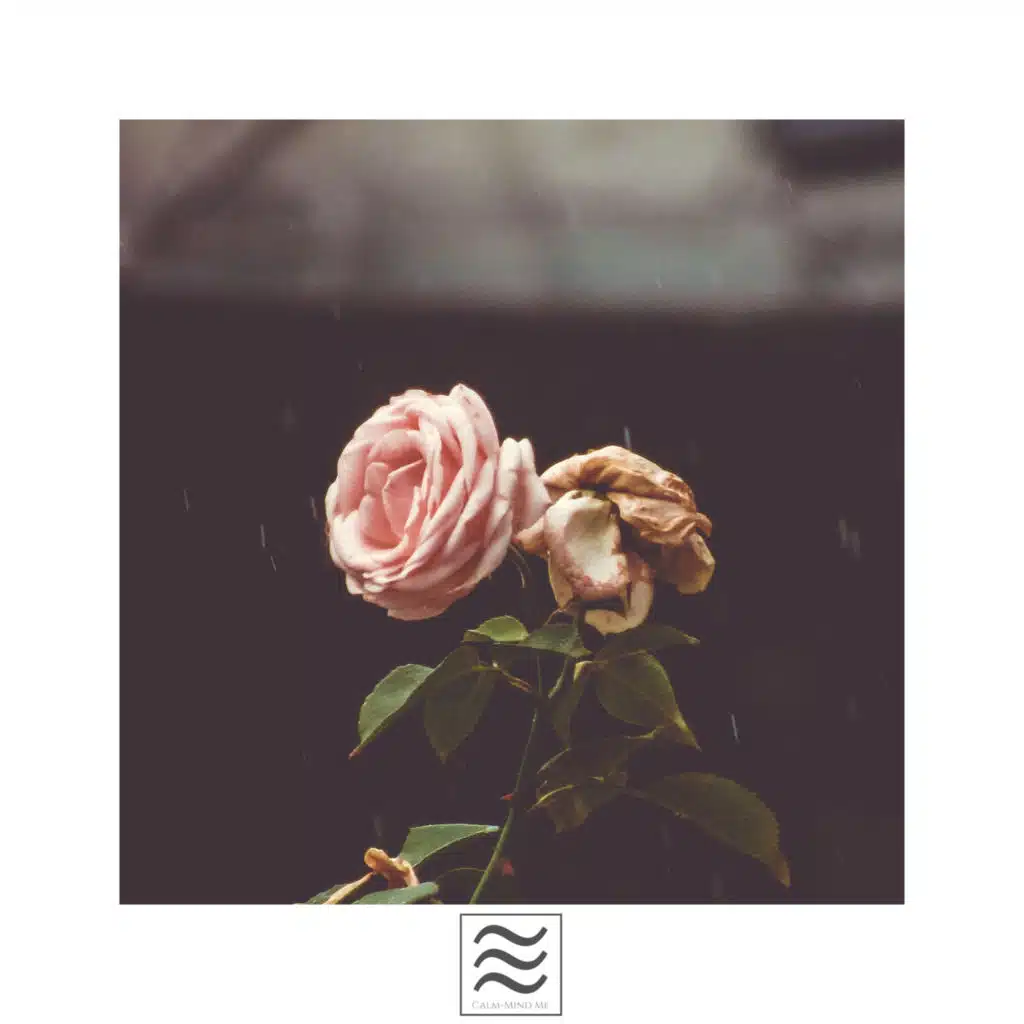 平和のための雨