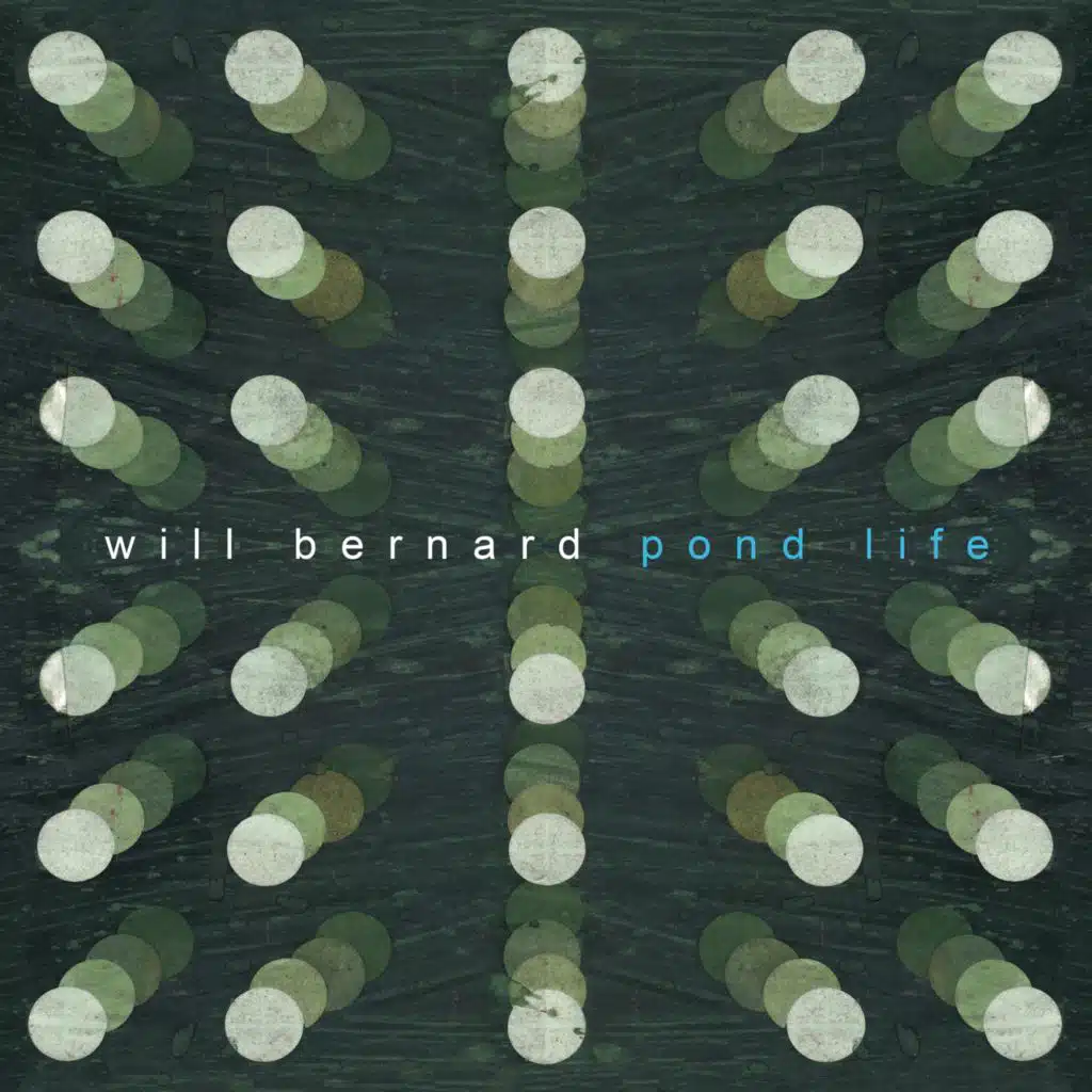 Will Bernard