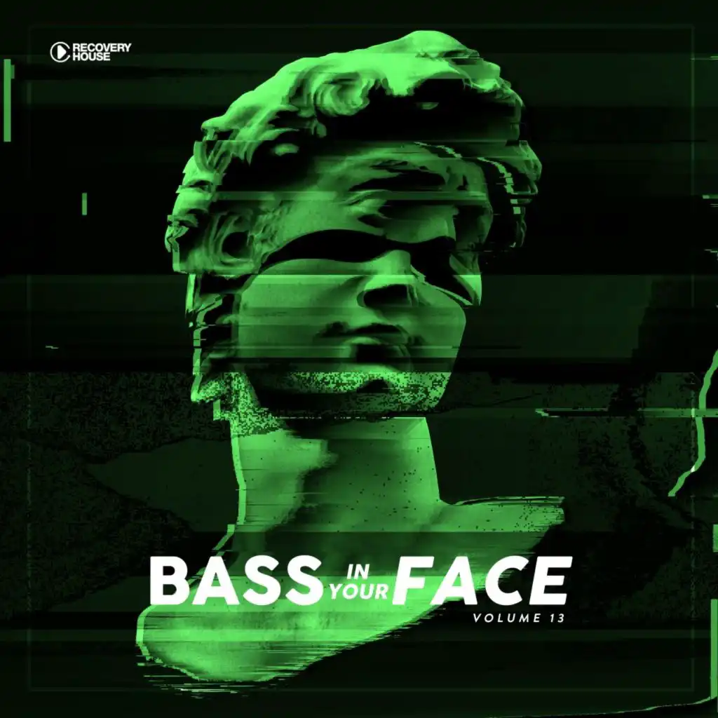 Bass in Your Face, Vol. 13
