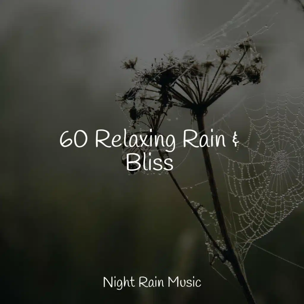 Birds Singing in the Forest