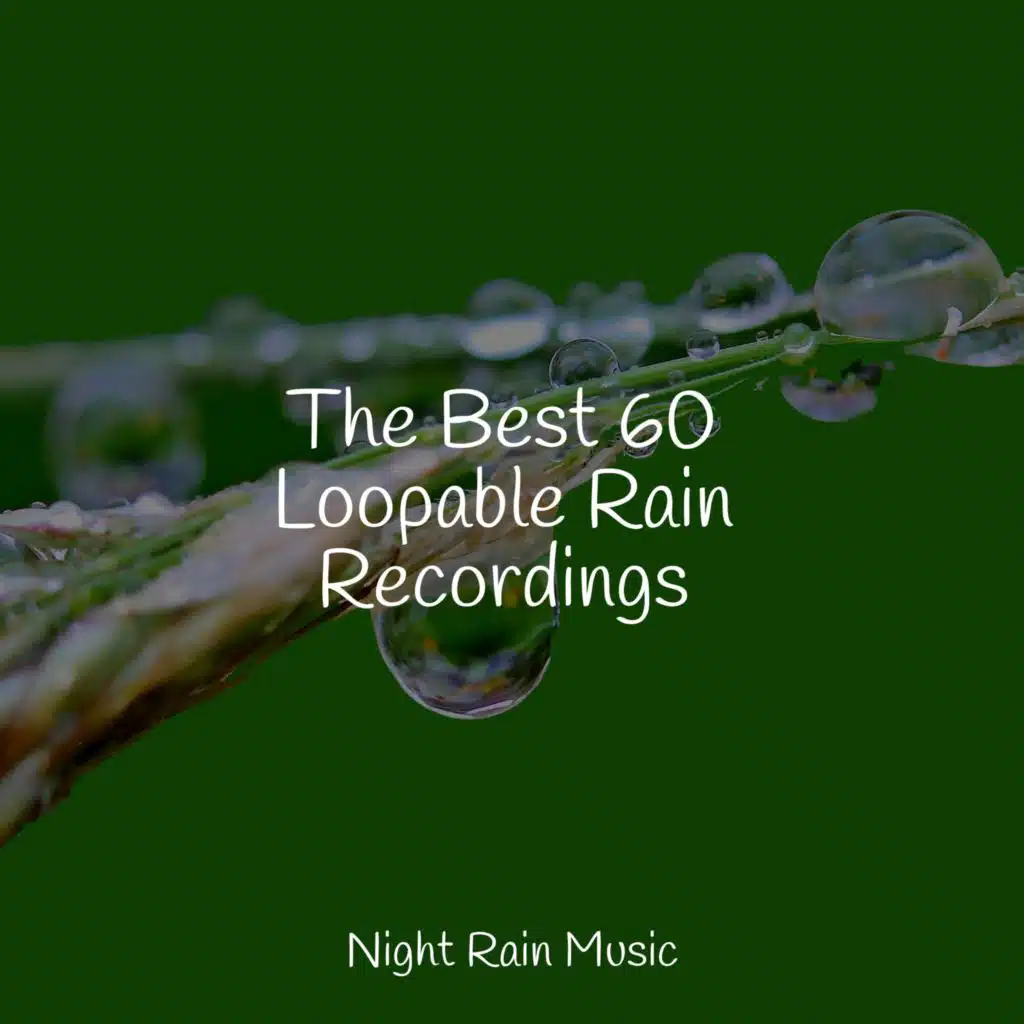 Water, Creek, Birds, Morning