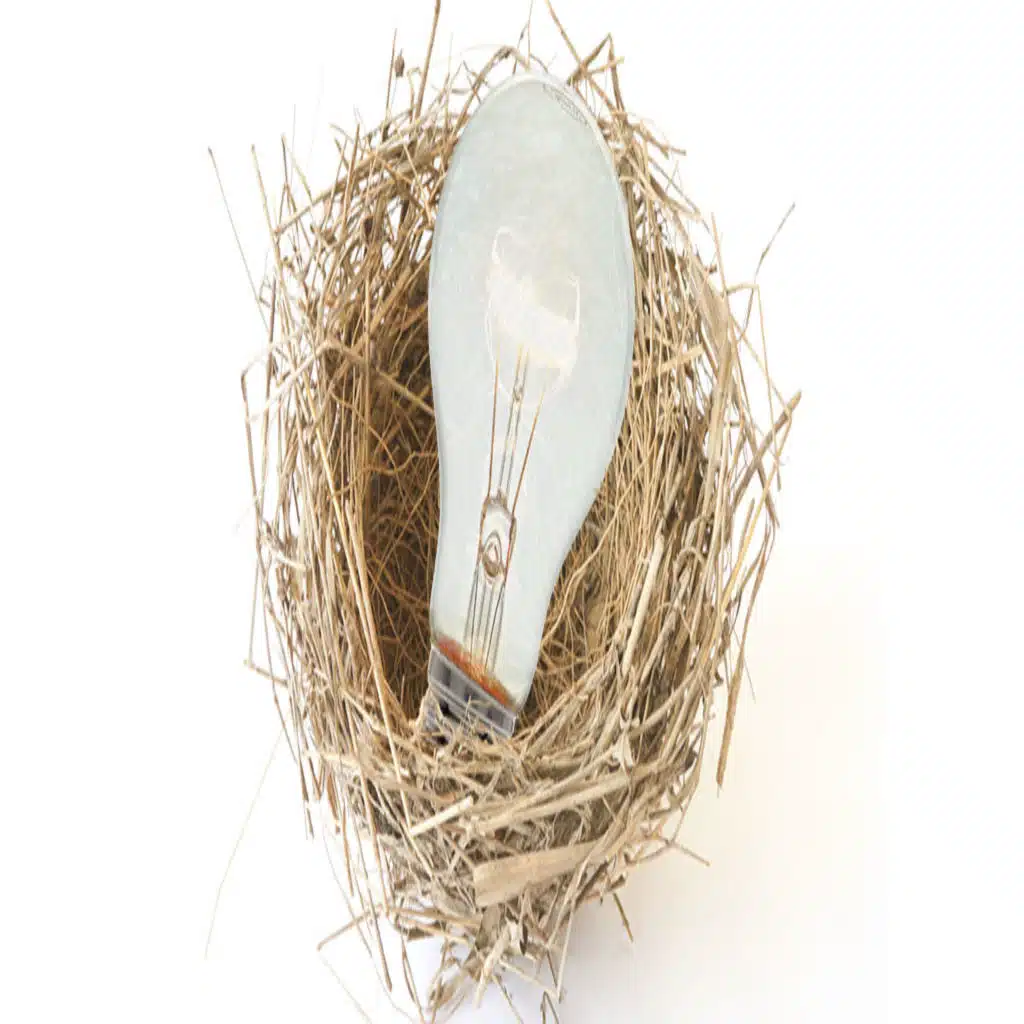 How Incubators Help Entrepreneurs Succeed