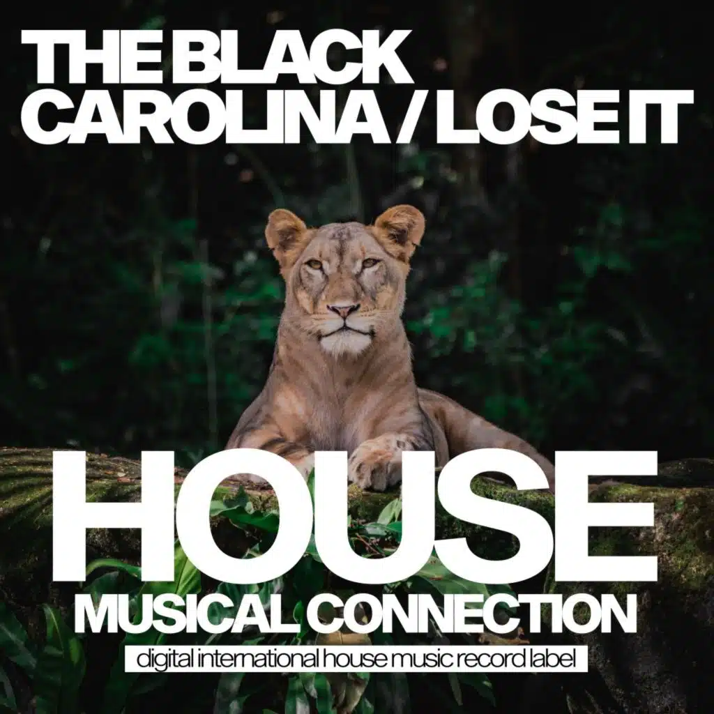 Lose It (Extended Mix)