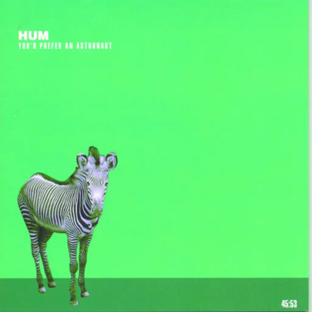 Why I Like The Robins