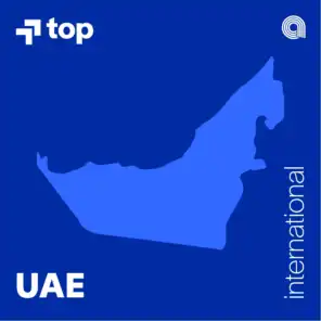 Top International in UAE