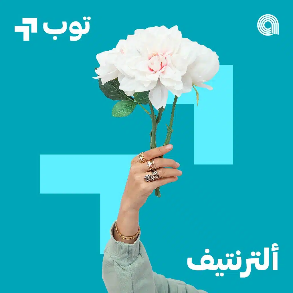 توب ألترنتيف