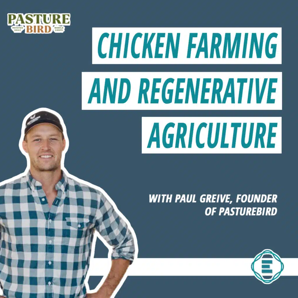 #234 - How to Fix Chicken Farming with Regenerative Agriculture, with Paul Greive of Pasturebird