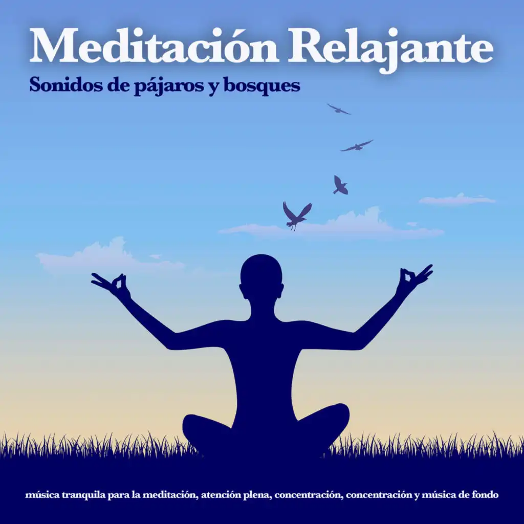 Música para meditación - Relajarse