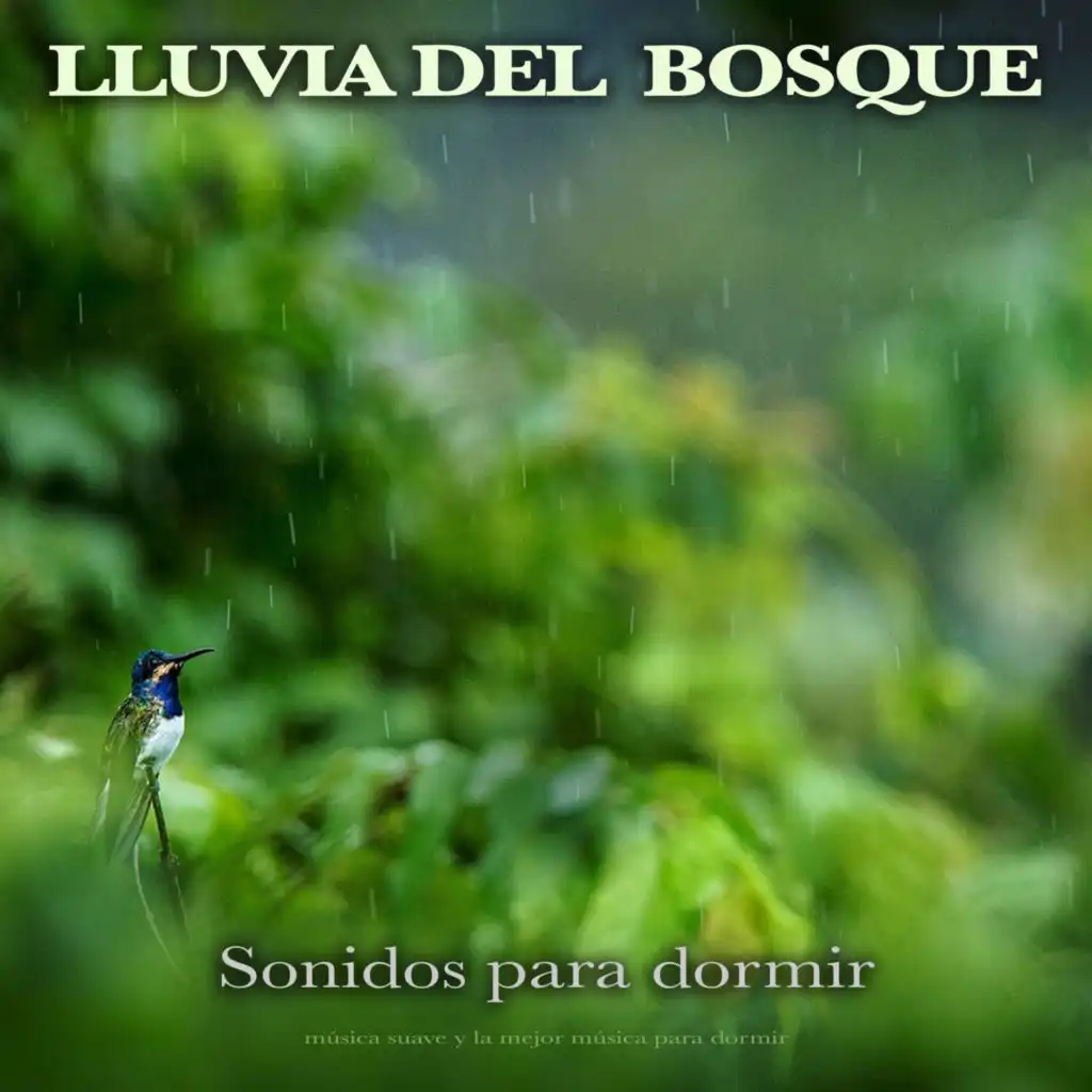 Lluvia del Bosque: Sonidos para dormir, música suave y la mejor música para dormir