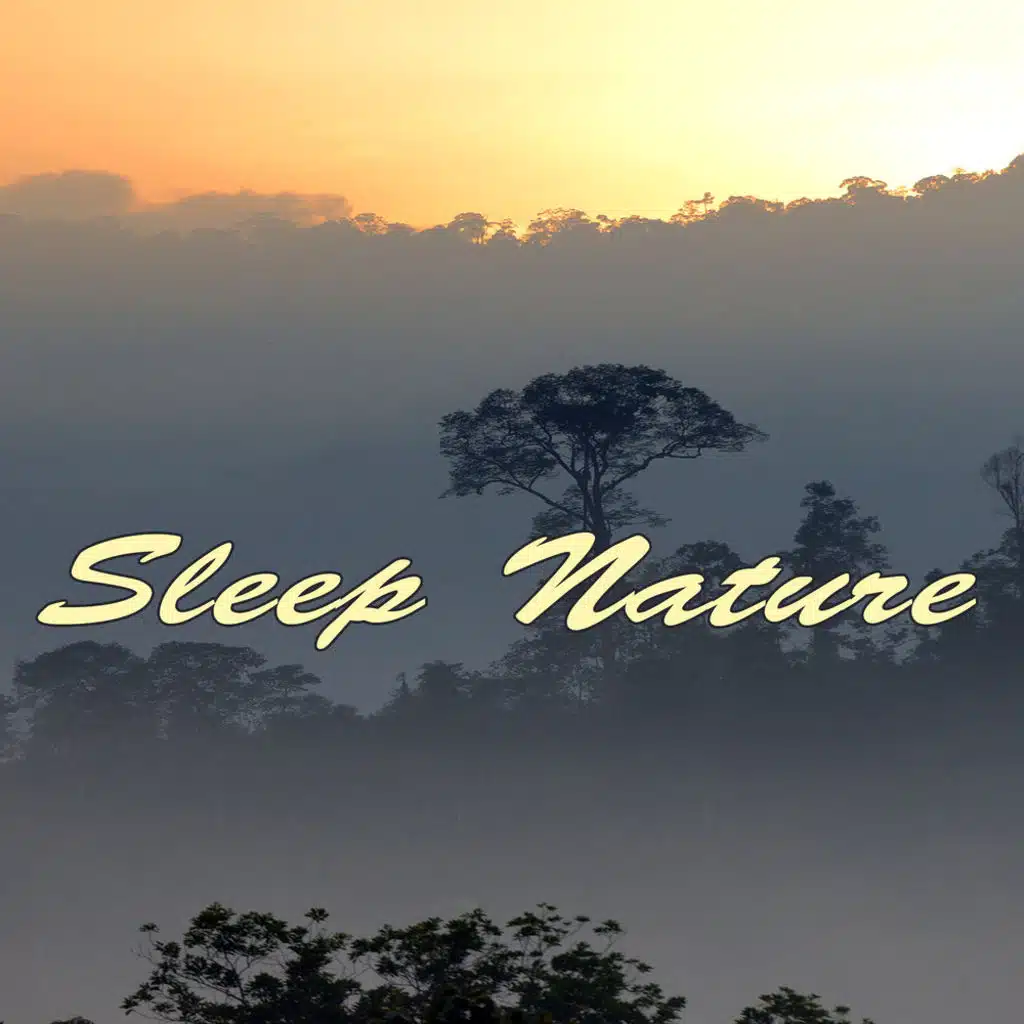 River Rain : Raindrops