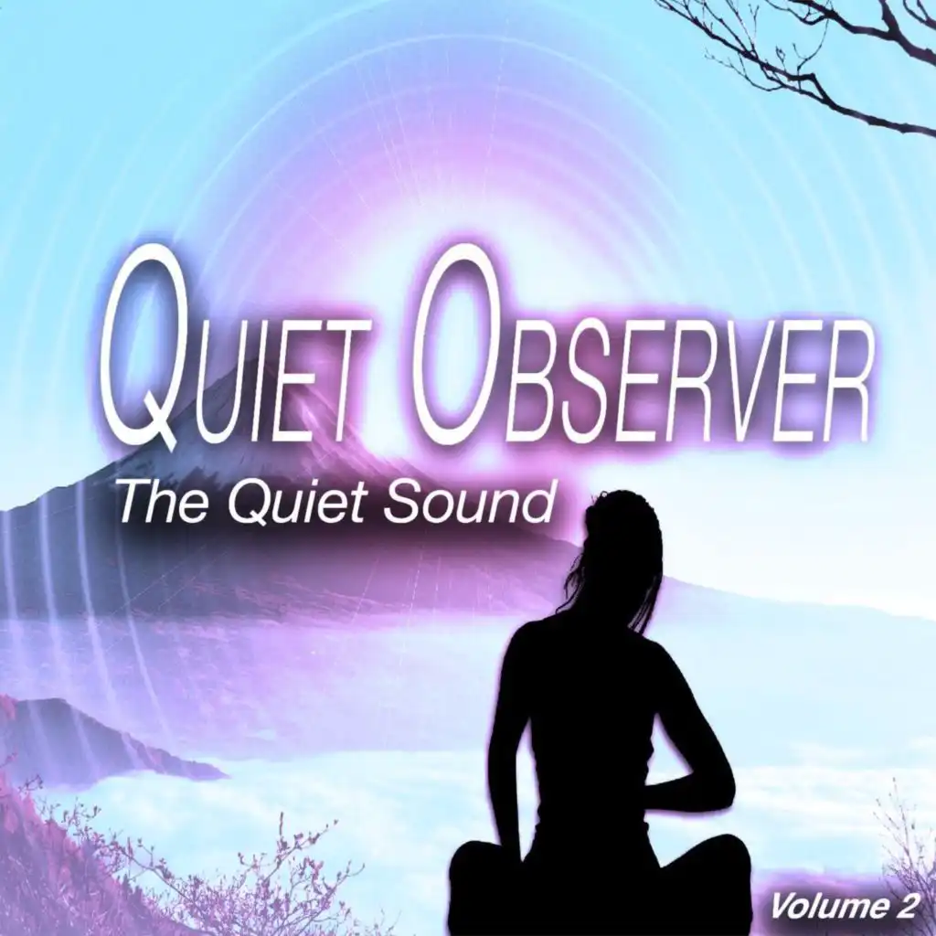 Quiet Observer, Vol. 2 - the Quiet Sound