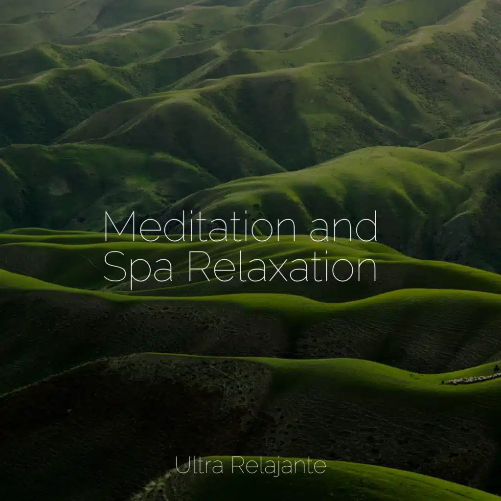 Study Music & Relaxing Sleep Sound