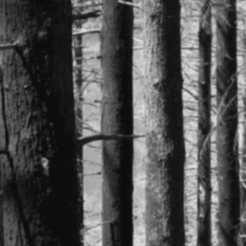 vulnerary (a mixtape)