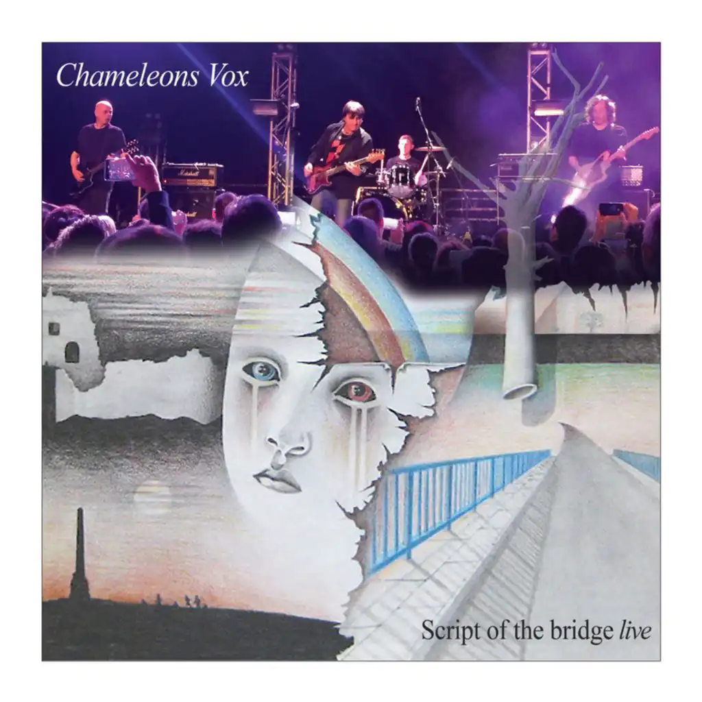 Chameleons Vox