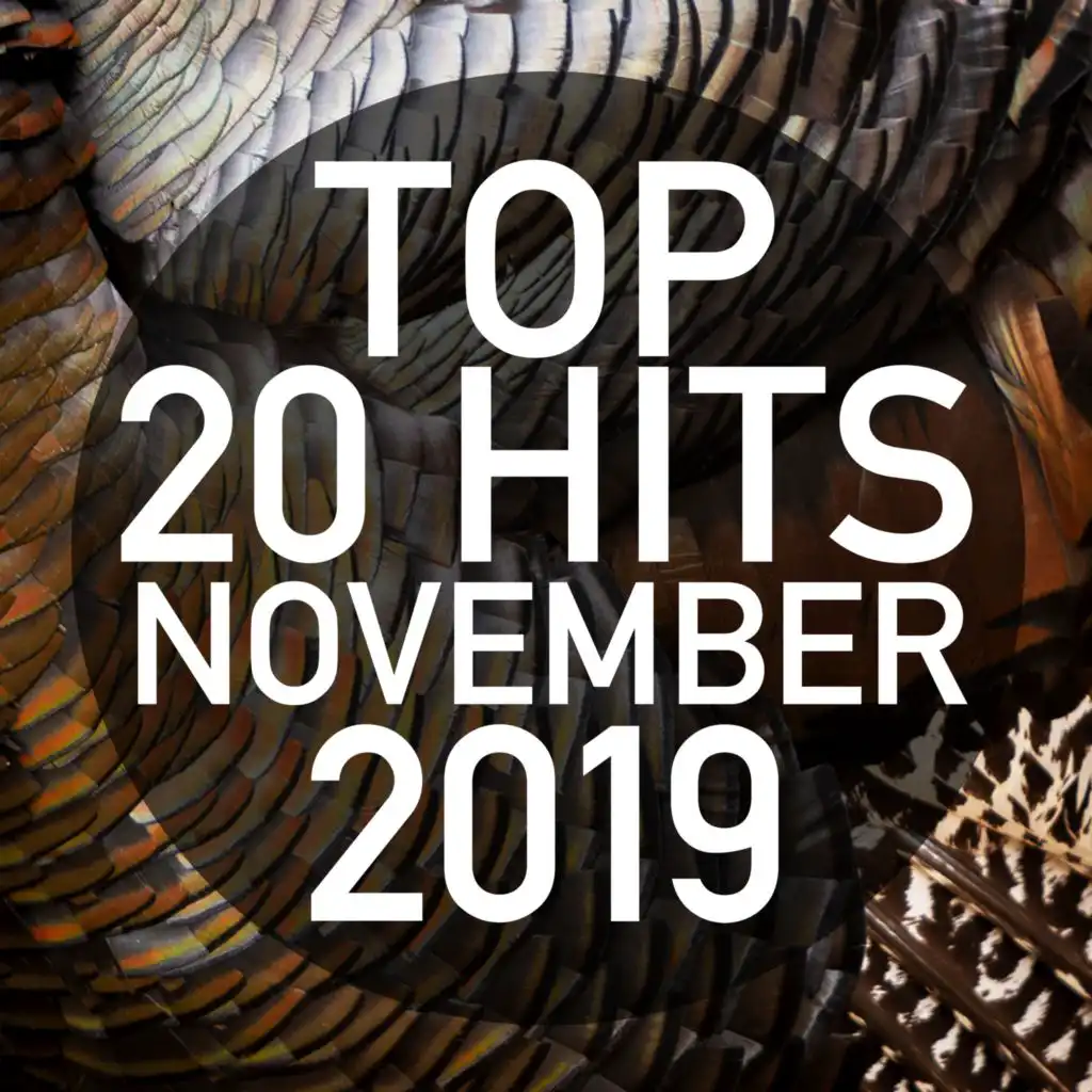 Top 20 Hits November 2019 (Instrumental)