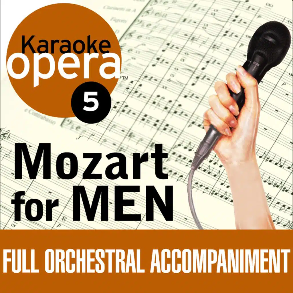 Don Giovanni (feat. Julian Bigg & Czech Symphony Orchestra)
