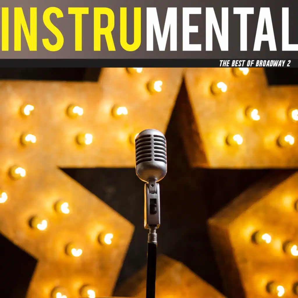 The Best Of Broadway 2