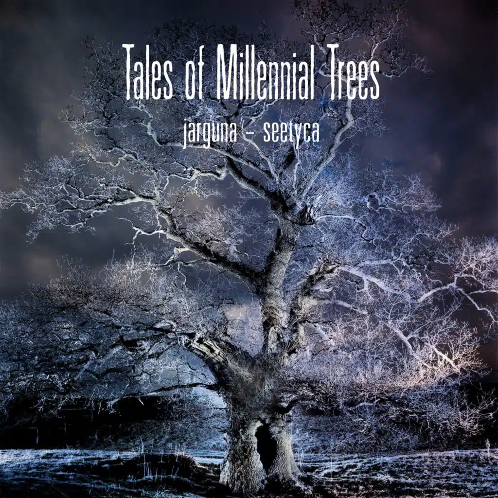 …and Seetyca: Tales of Millennial Trees