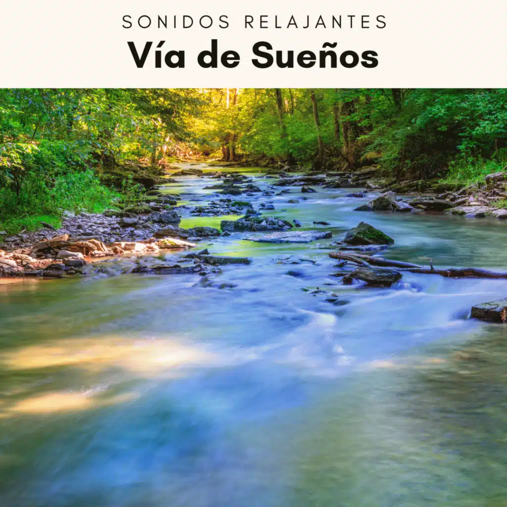 Tormentas Eléctricas y la Lluvia con Ruidos de Pajaritos pt. 7