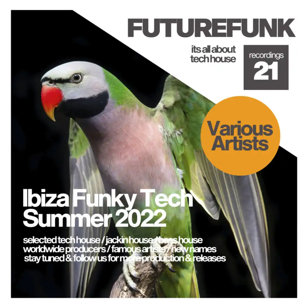 Ibiza Funky Tech Summer 2022